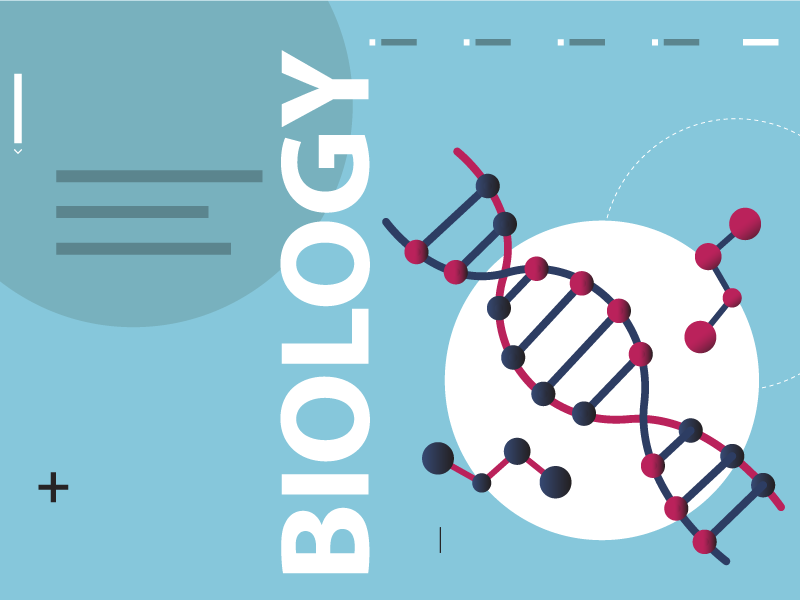 A High Schooler’s Path to Biological Sciences
